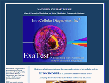 Tablet Screenshot of exatest.com
